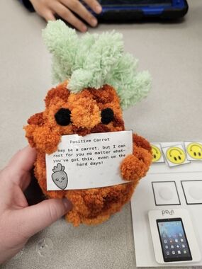 Emotional Support Stuffie